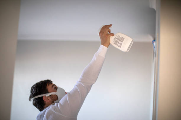 Professional Mold Removal in Waite Park, MN
