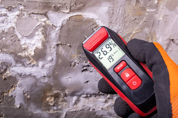 Best Mold Damage Repair  in Waite Park, MN